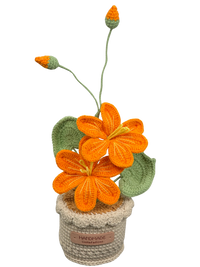 Gehäkelte Blumentöpfe