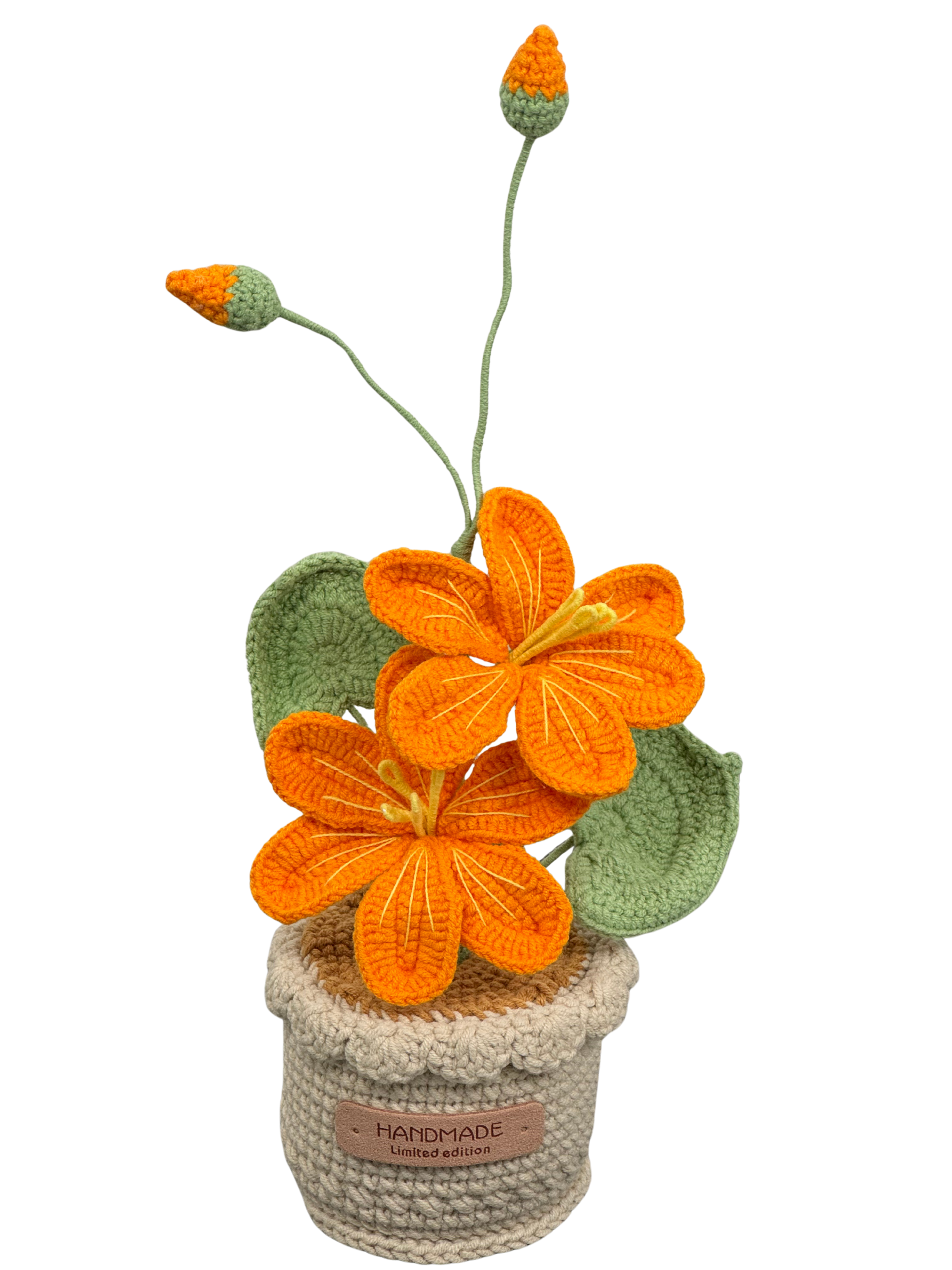 Gehäkelte Blumentöpfe