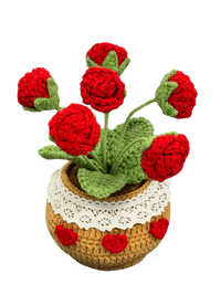 Gehäkelte Blumentöpfe