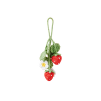 Bag Charms