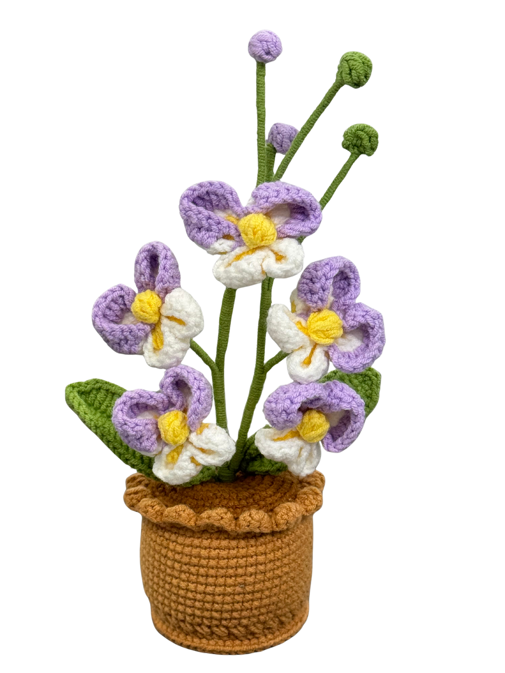 Orchideen