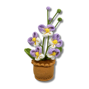 Orchideen
