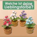 Vergissmeinnicht
