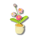 3D-Magnete