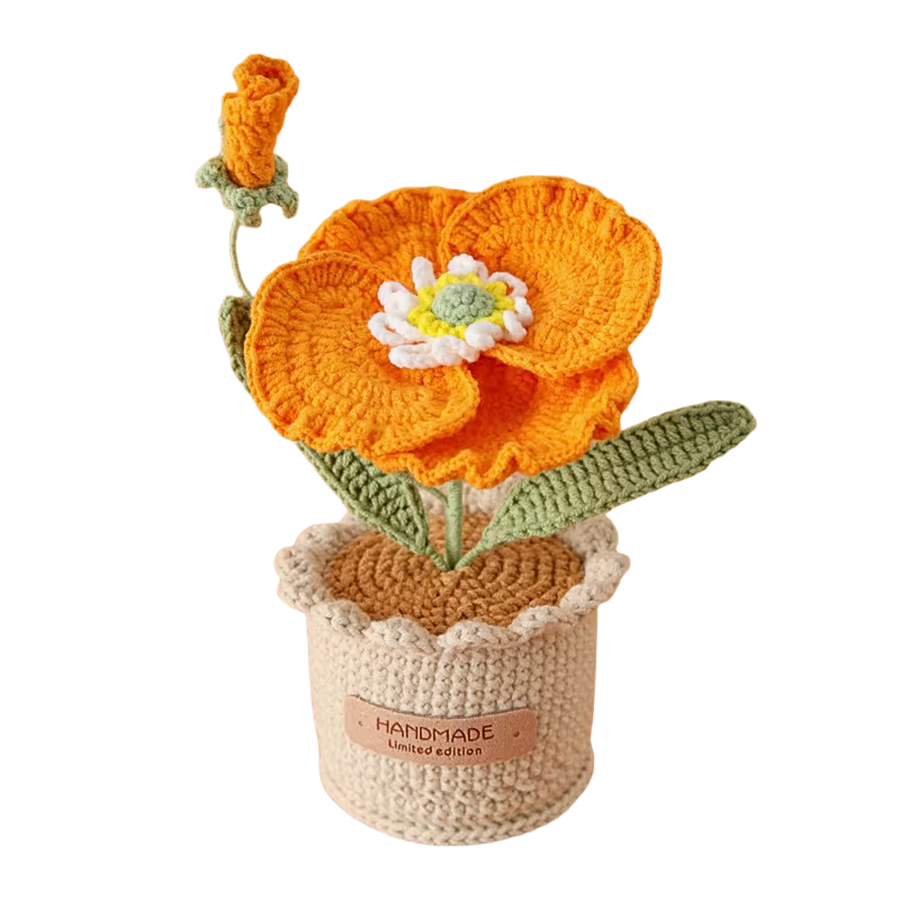 Mohnblume