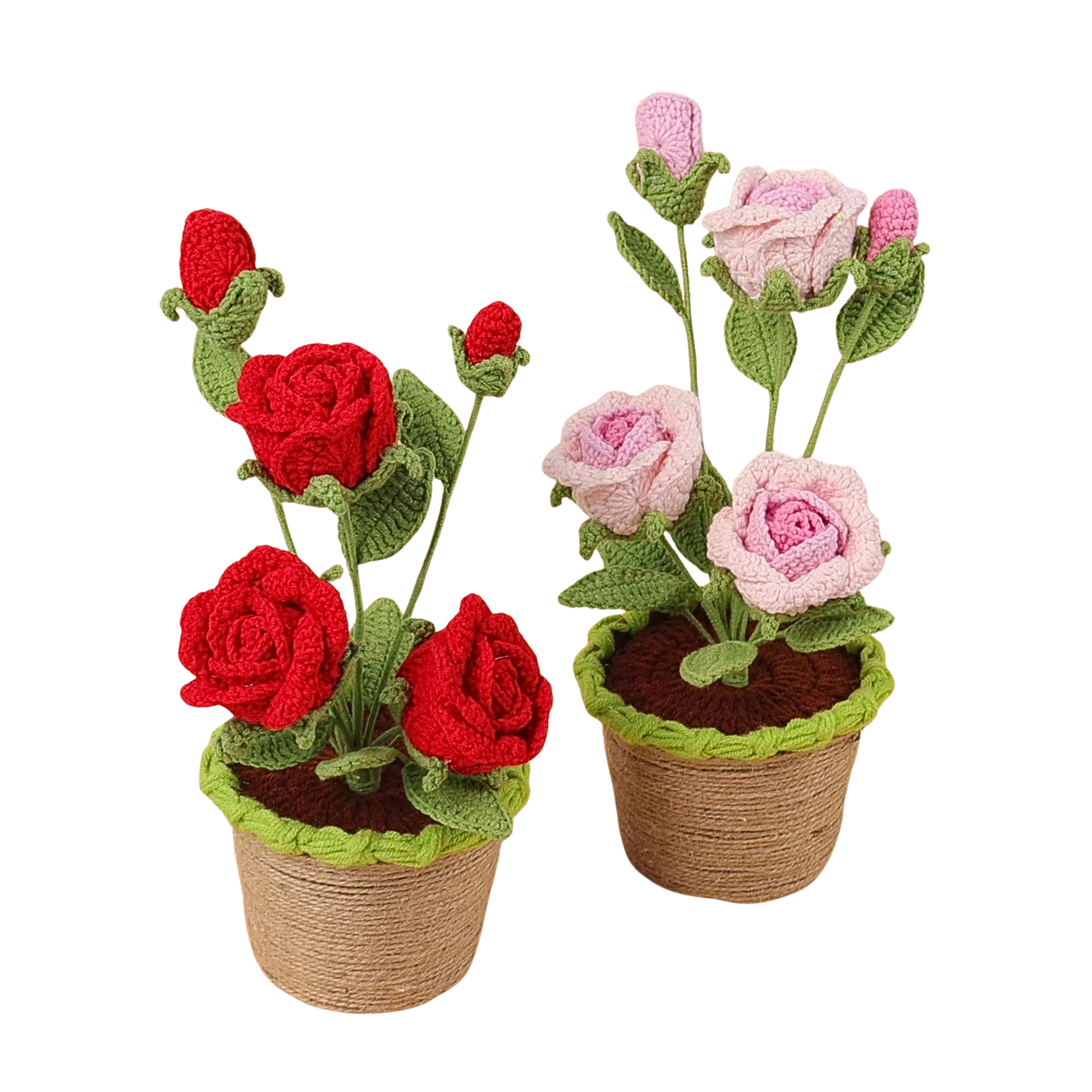 Rosentopf